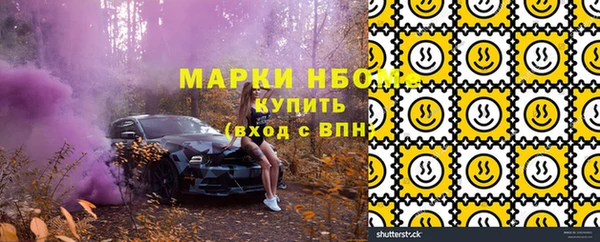 бошки Алексин