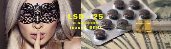 ECSTASY Алзамай