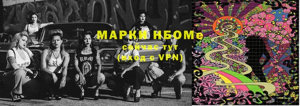 бошки Алексин