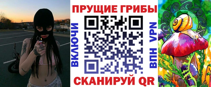 Галлюциногенные грибы Psilocybine cubensis  где купить   Юрьев-Польский 