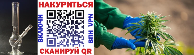 Канабис конопля  Юрьев-Польский 